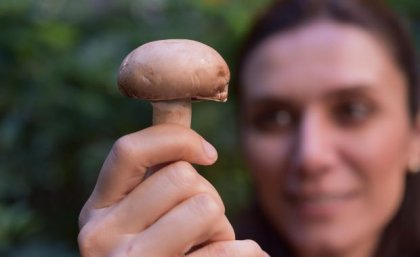 a researcher holds up a mushroom
