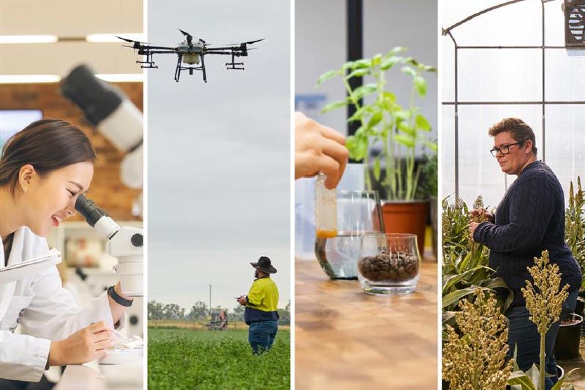 UQ agriculture