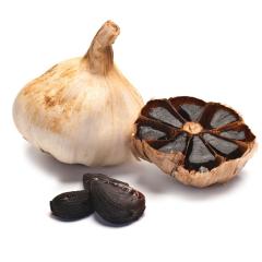 Garlic bulb