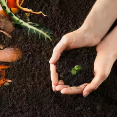 Compost
