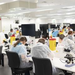 Students in the lab