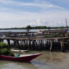 Boats on a shore