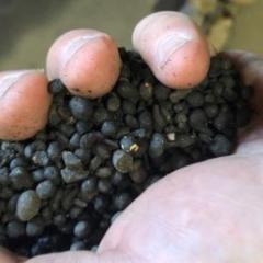 Compost