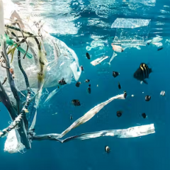 Ocean plastic